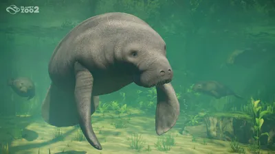 Planet Zoo 2 Aquariums, Exhibits, and Aquatic Animals