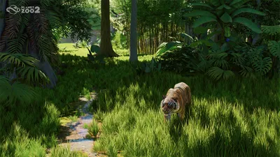 Planet Zoo 2 Reviews and Player Reception