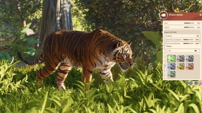 Troubleshooting Paths, Animals, and Zoo Problems