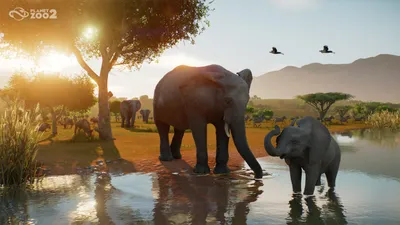 Planet Zoo 2 DLC and Expansion Packs