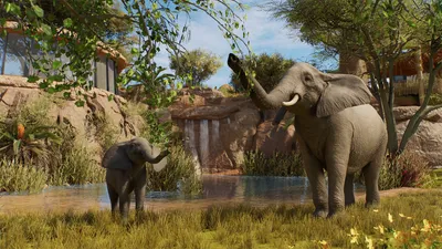 Planet Zoo 2 Gameplay: Modes, Zoo Building, and Animal Care