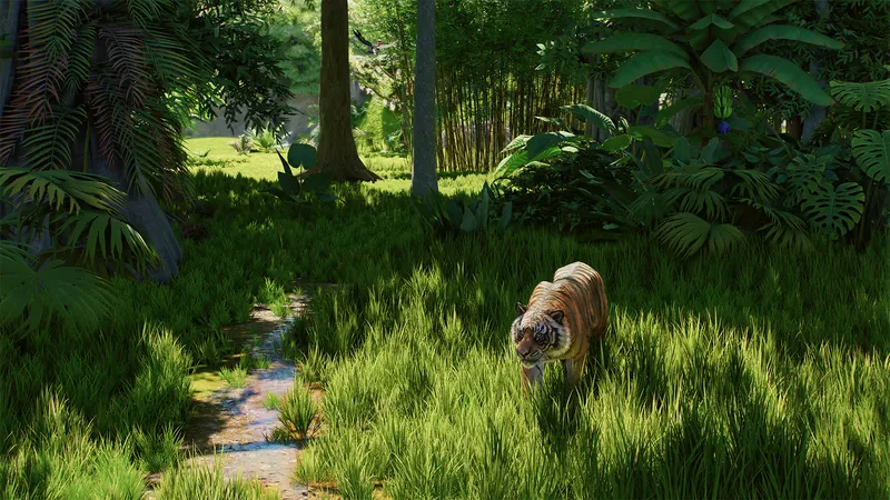 A Planet Zoo 2 tiger walking through a forested habitat