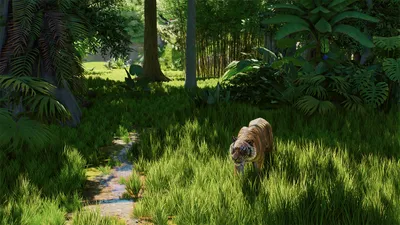Planet Zoo 2 Release, Preload, and Early Access